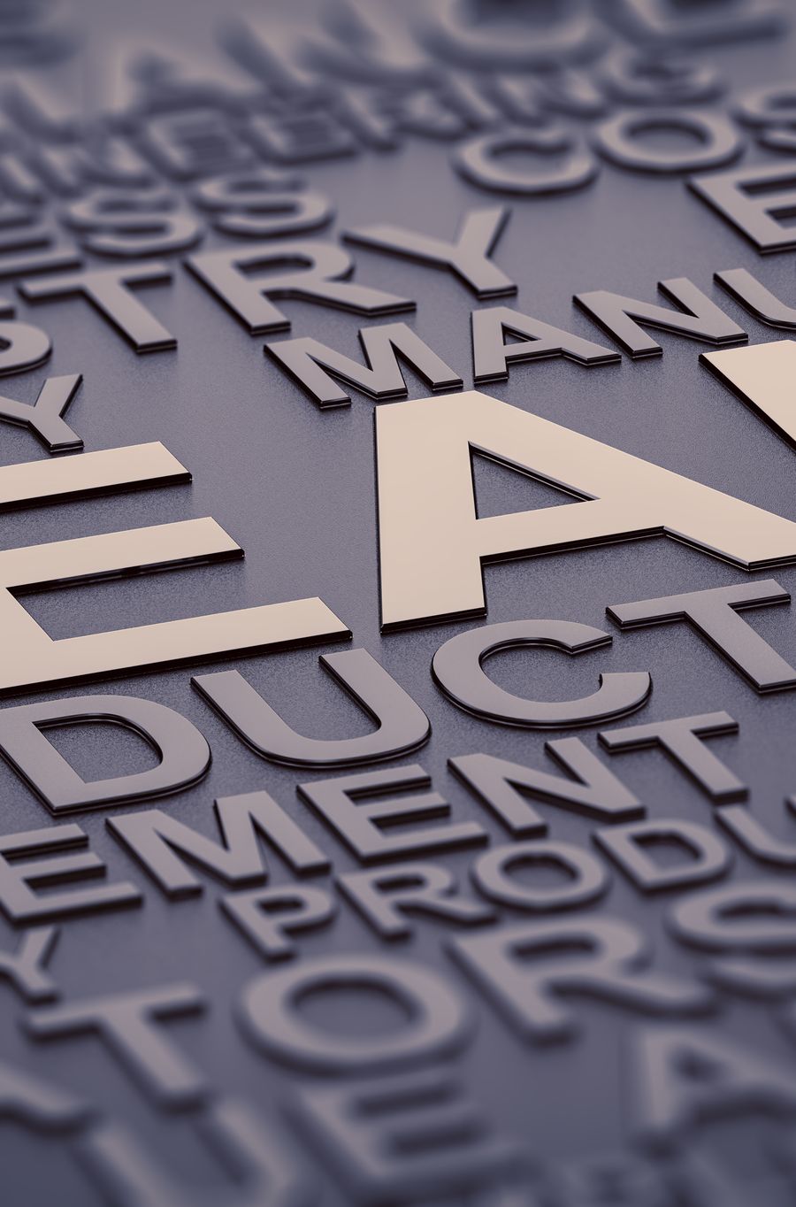 The word LEAN among process terms